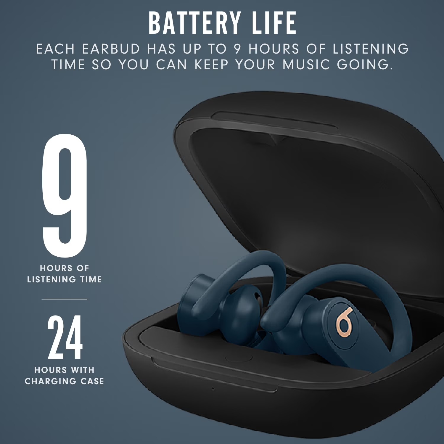 Beats Powerbeats Pro 完全ワイヤレススポ - Beats Headphone Powerbeats Pro のレビューと価格