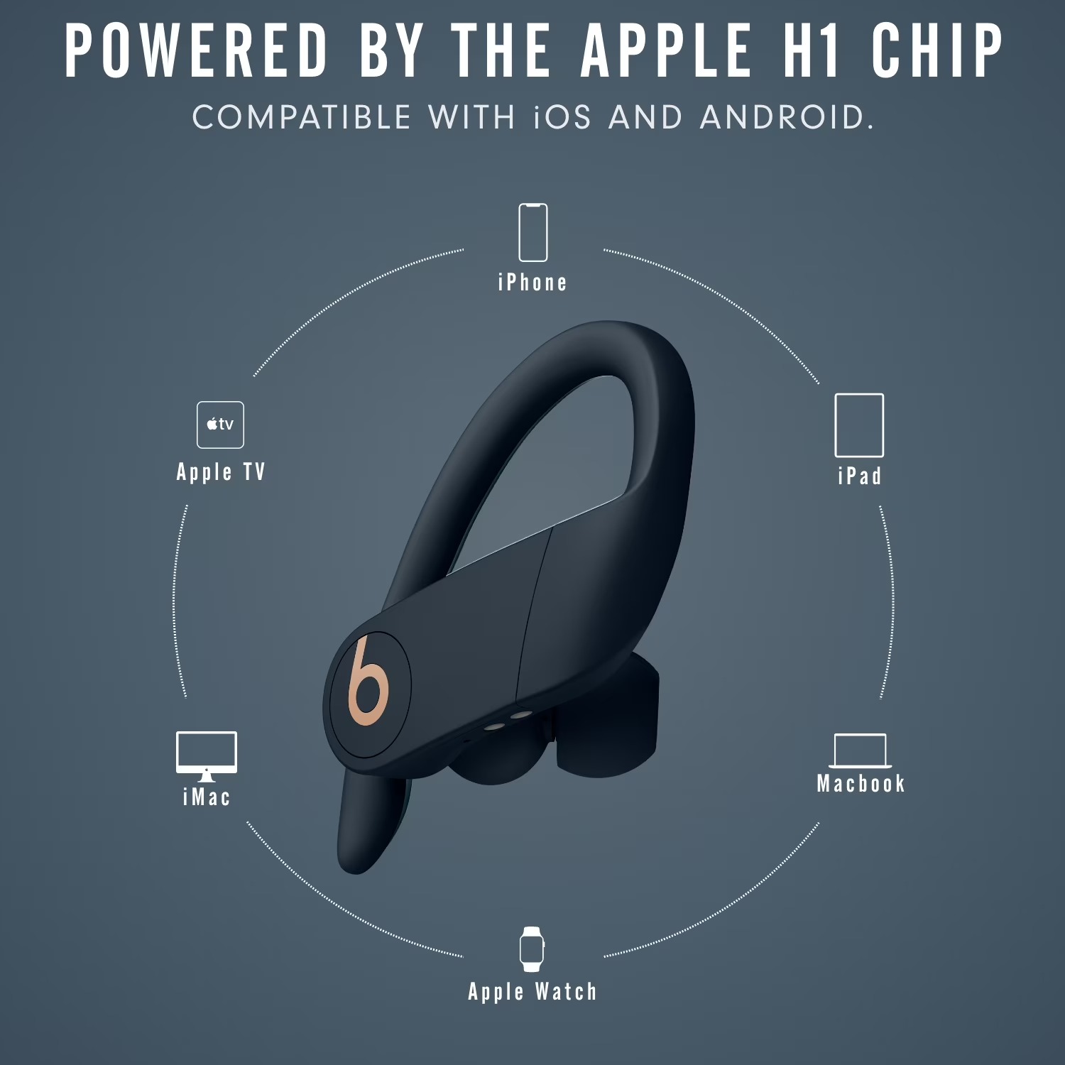 Beats Powerbeats Pro 完全ワイヤレススポ - Beats Headphone Powerbeats Pro のレビューと価格